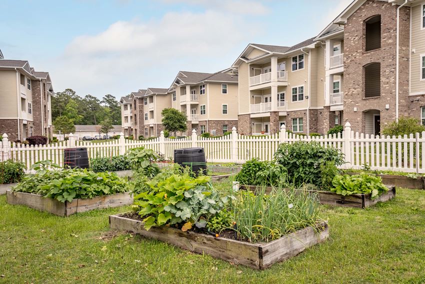 Hawthorne At Stillwater Apartments, 131 Stillwater Landing Way, Sneads